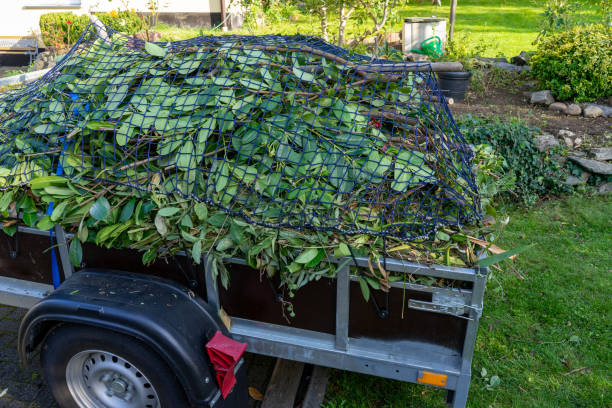 Best Scrap Metal Removal  in Spring City, TN